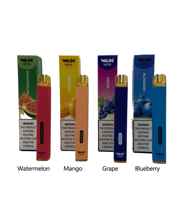 Wain Mini Disposable Pod Kit 2ml 600 Puffs